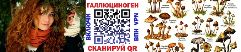 KRAKEN вход  Шилка  Псилоцибиновые грибы MAGIC MUSHROOMS 
